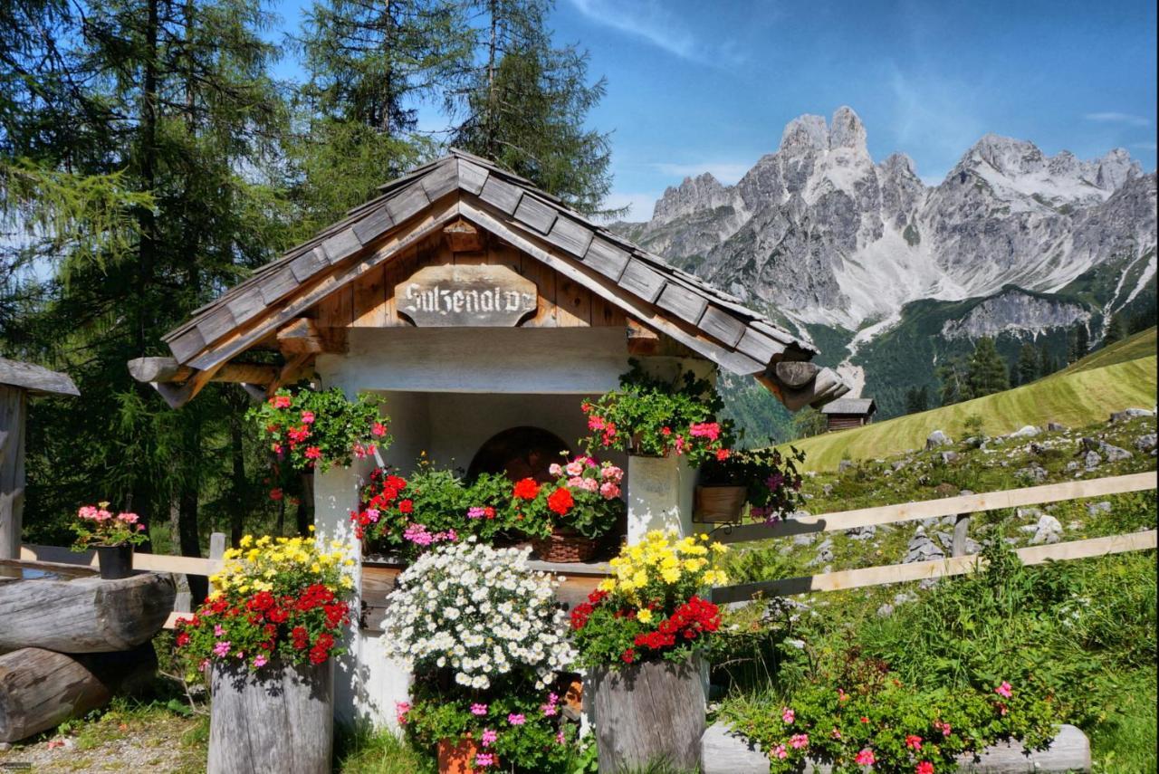 Bauernhof Krahlehenhof Βίλα Filzmoos Εξωτερικό φωτογραφία